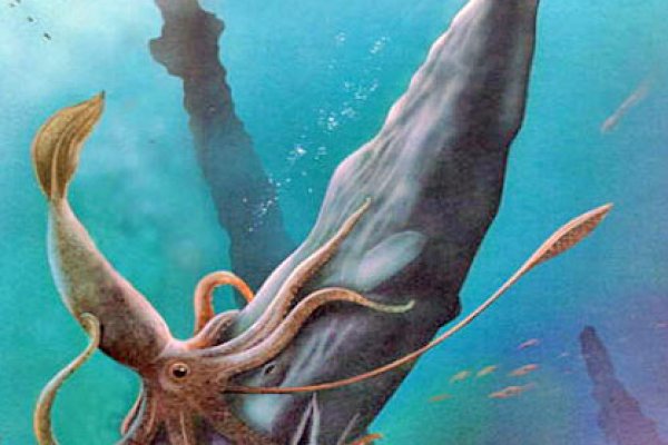Kraken это современный маркетплейс
