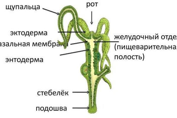 Ссылки на даркнет сайты