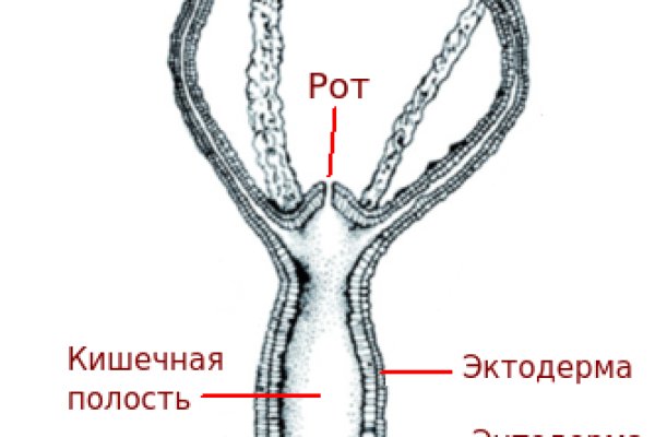 Открыть даркнет