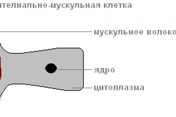 Как восстановить пароль на кракене